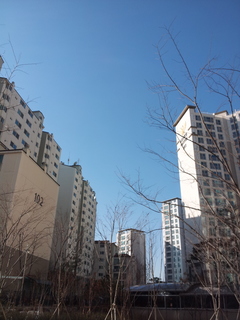 20141209_141039.jpg