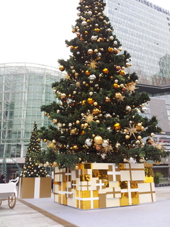 20141212_145803.jpg