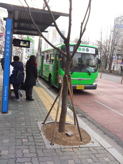 20150116_145713.jpg