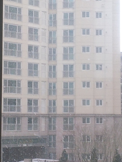 20150209_145855.jpg