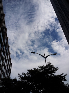 20150930_140430.jpg